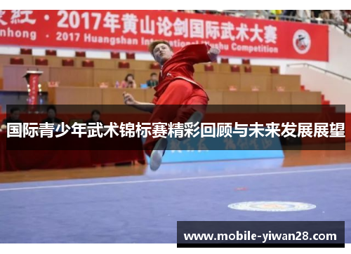 国际青少年武术锦标赛精彩回顾与未来发展展望