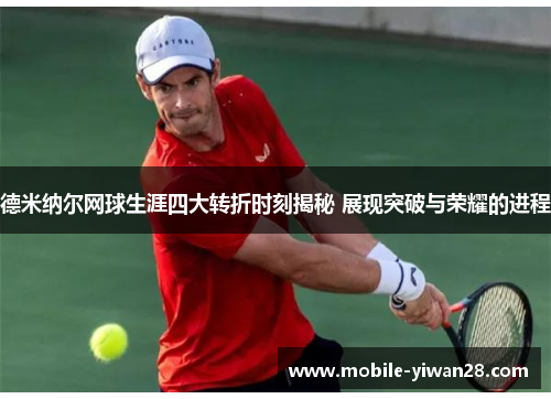 德米纳尔网球生涯四大转折时刻揭秘 展现突破与荣耀的进程