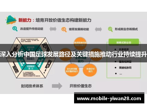 深入分析中国足球发展路径及关键措施推动行业持续提升