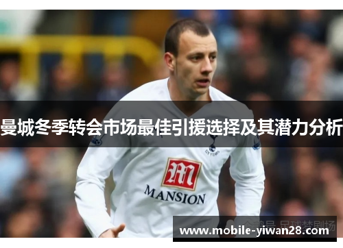 曼城冬季转会市场最佳引援选择及其潜力分析