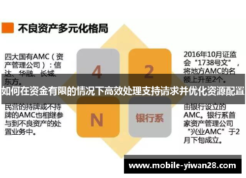 如何在资金有限的情况下高效处理支持请求并优化资源配置