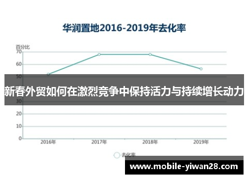 新春外贸如何在激烈竞争中保持活力与持续增长动力