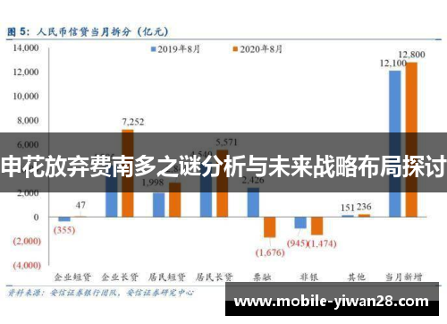 申花放弃费南多之谜分析与未来战略布局探讨