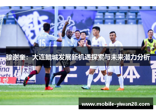 穆谢奎：大连鲲城发展新机遇探索与未来潜力分析