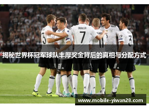 揭秘世界杯冠军球队丰厚奖金背后的真相与分配方式