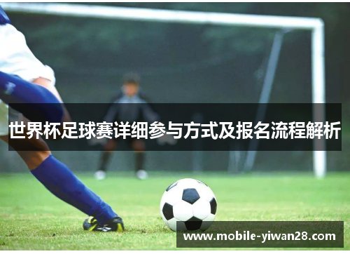 世界杯足球赛详细参与方式及报名流程解析