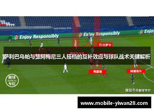 萨利巴乌帕与楚阿梅尼三人搭档的互补效应与球队战术关键解析