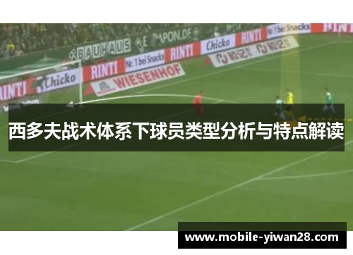 西多夫战术体系下球员类型分析与特点解读
