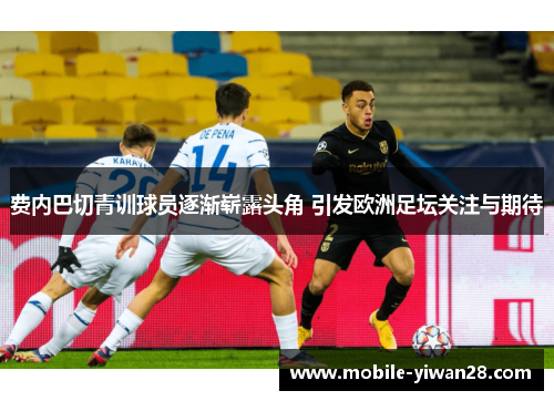 费内巴切青训球员逐渐崭露头角 引发欧洲足坛关注与期待