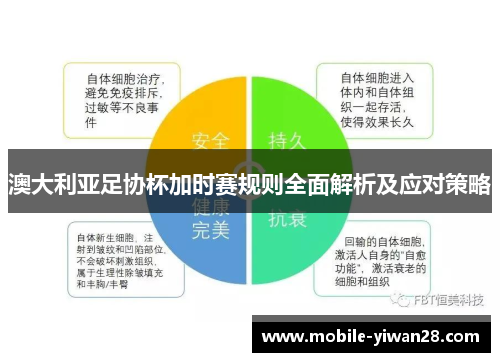澳大利亚足协杯加时赛规则全面解析及应对策略
