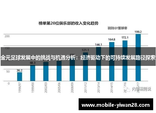 金元足球发展中的挑战与机遇分析：经济驱动下的可持续发展路径探索