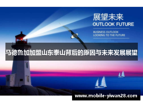 马德鲁加加盟山东泰山背后的原因与未来发展展望