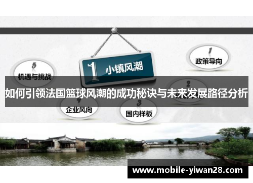 如何引领法国篮球风潮的成功秘诀与未来发展路径分析